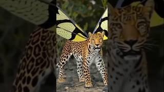 3D Ai #leopard animation video generated ##shorts video editing.....