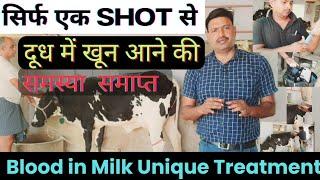 एक SHOT में गाय के दूध में खून आना रोकें Blood in Milk of cow treatment / bloody milk in cow