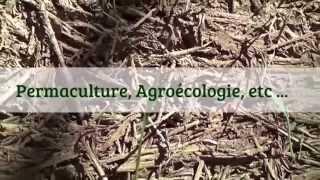 Permaculture, Agroécologie, Etc ...