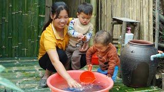 Harvest tomatoes to sell at the market. Renovate the bamboo farm - baby care / Ly Thi NgoanTV