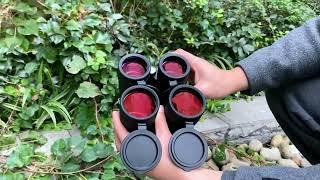 High End 12x50 Military Bird Watching Binoculars With ED Lens