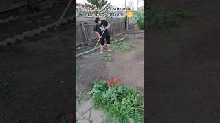 Пиши свои странные желания #дача #садоводничество #огород #огороднаподоконнике #сад #обзордачи