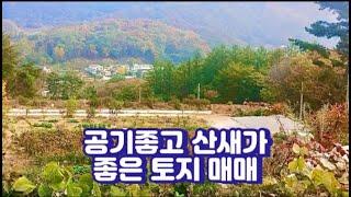 [좋은 매물] 포천 산정호수 근처 500평!