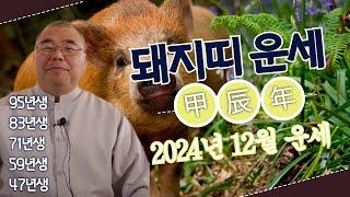 2024년 12월 돼지띠 나보다는 타인을 중심으로..ㅣ갑진년 돼지띠운세 95년생 83년생 71년생 59년생 47년생