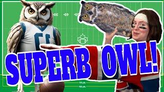 SUPERB OWL Weekend!  Why Owls Are Way Cooler Than You Think!!