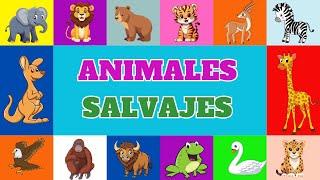 ¡Aventura Salvaje!  Conoce los Animales Salvajes para Niños y Niñas  - Aprende con Gael y Owen