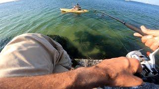 Bottom Grubbing - SUMMER FLUKE / FLOUNDER SMACK DOWN - Hook, Line, and Sinker