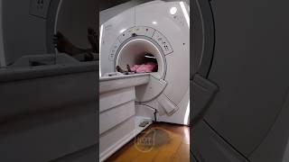 ЧТО БУДЕТ Если сделать МРТ с Металлическими Предметами #факты