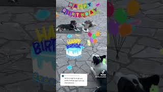 @Francesco-q3t  tanti auguri di buon compleanno da noi tre 