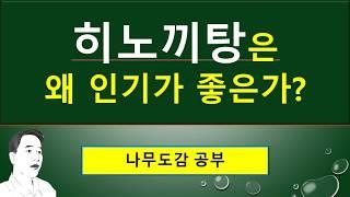 편백의 이용 용도 : 편백으로 만든 히노끼탕, 목재의 특징, 에센셜오일, 꽃가루 알레르기,