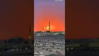 moin Raza qadri