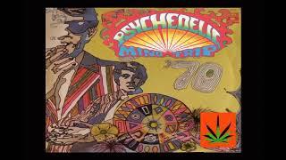 Psychedelic Mind Trip - Psychedelic 70's Rare Mix