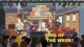 EDITORIAL: "'The New Norm', Pathetic Far-Right Twitter Cartoon, is Dog of the Week"