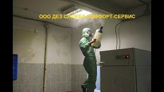 Как избавиться от клопов и тараканов с одной обработки не выкидывая диван и не сдирая обои.