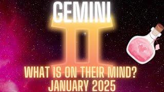 Gemini ️ - Damage Control Mode, Gemini... They’re Desperate to Make Things Right!