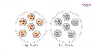 Preimplantation Genetic Testing (PGT) || Oasis Fertility