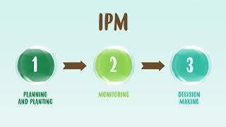 Integrated Pest Management - IPM