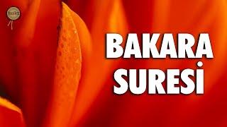 Bakara Suresi | Dua Edince Dua Edenin Duasına Cevap Veririm | Ali Turan | fussilet Kuran Merkezi