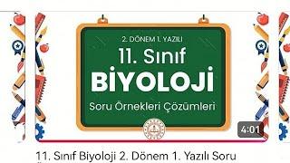 11 Biyoloji 2 dönem 1 yazılıya hazırlık soru çözümleri MEB Maarif modele göre