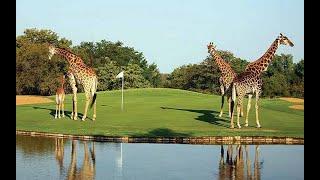 Explore Golfing Adventures in South Africa