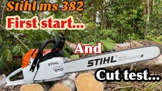 CHAINSAW STIHL MS 382 setup |  first start and cut test