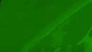 (REQUESTED)  1995 20th Century fox home entertainment in Jamie Shaffer's effects in G Major 73