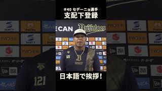 セデーニョ選手 支配下登録！日本語で意気込み！
