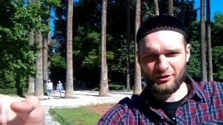 Парк, кипарисы, пальмы в Афинах