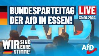 Live aus #Essen: Tag 2 des #AfD-Bundesparteitages mit Neuwahlen Bundesvorstand!