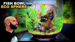 Eco Sphere Fish Bowl: AMAZING NO WATER CHANGE & No Filter Aquarium (AQUASCAPE TUTORIAL)