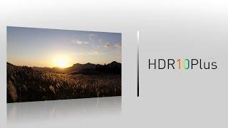 What is HDR10+ | Panasonic Australia