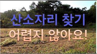 (매물26) 서산 성연면에 위치한 양지바른 산소자리,양봉용도 토지