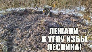 УГОЛ ИЗБЫ ЛЕСНИКА ОКАЗАЛСЯ НЕ ПУСТОЙ! Поиск золота с металлоискателем / Russian Digger