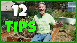 How to Be a LAZY Gardener (SUCCESSFULLY)