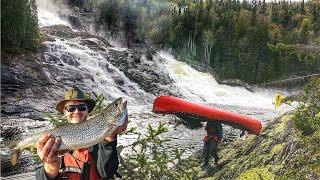 7 Day's Camping & Fishing Lake Superior's Remote North Shore Wilderness WILD TROUT Catch & Cook