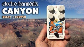 Electro-Harmonix Canyon Delay / Looper Pedal (Demo by Bill Ruppert)