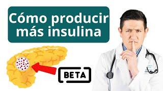 Cómo producir más insulina para revertir la Diabetes