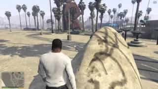 Grand Theft Auto V burning a sand shark