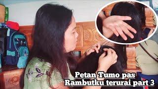 Petan Tumo pas Rambutku terurai (part 3)