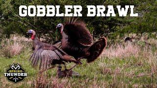 AGGRESSIVE Gobblers | Opening Week Success | Realtree Spring Thunder