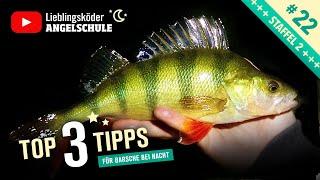 Top 3 Tipps zum BARSCHANGELN bei Nacht 