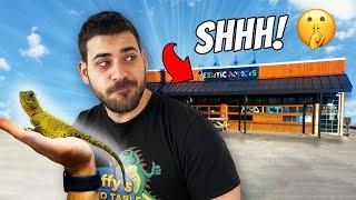 I Ran Away From This Reptile Shop With THIS Species!! & Vivarium Build