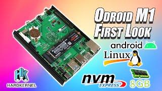 Odroid M1 Hands-On First Look! An All-New ARM Based Single Board Computer