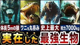 実在した最強生物たちがチートすぎる…!!古代の最強生物ランキングTOP5!!【ゆっくり解説】