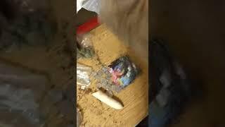 VID 20210314 110306585