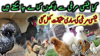 Fancy murgion sy pisa kamaya ja skta hy? || Fancy Hens farming business in Pakistan || BhAi Ali