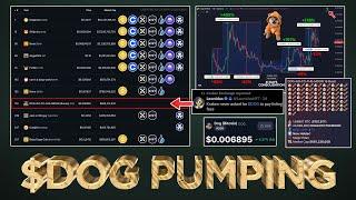 $DOG (Bitcoin) is Pumping  (Proof Whales are BUYING )