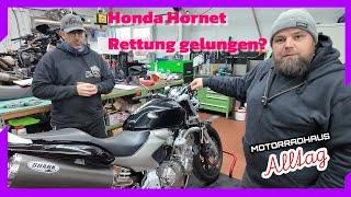 Hornet gerettet, Kawasaki GPZ 900R  • Motorradhaus Alltag Folge - 35