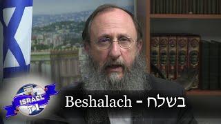 Weekly Torah Portion: Beshalach