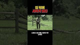 집 밖에 사자가 있다 #동기부여 #잠언 #명언 #shorts